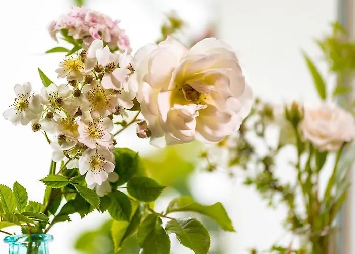 Apartamento Rosenrot Uberlingen